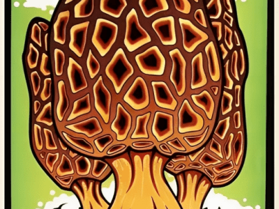 6/19/10 Anchorage, AK