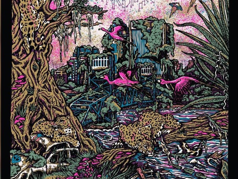 8/7/18 Jacksonville, FL