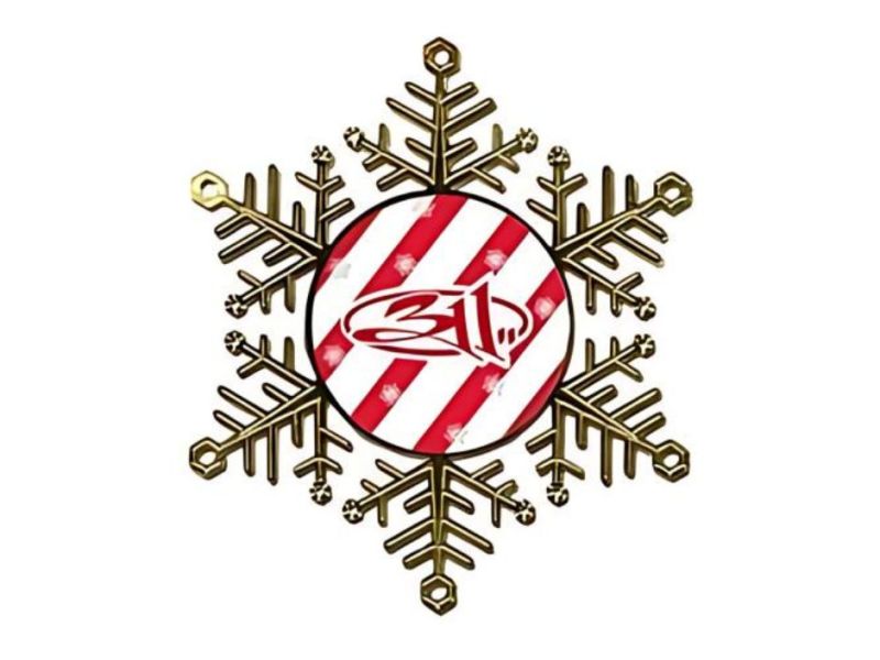 2010 Ornament